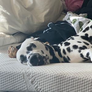 Meet your Posher, Madalyne